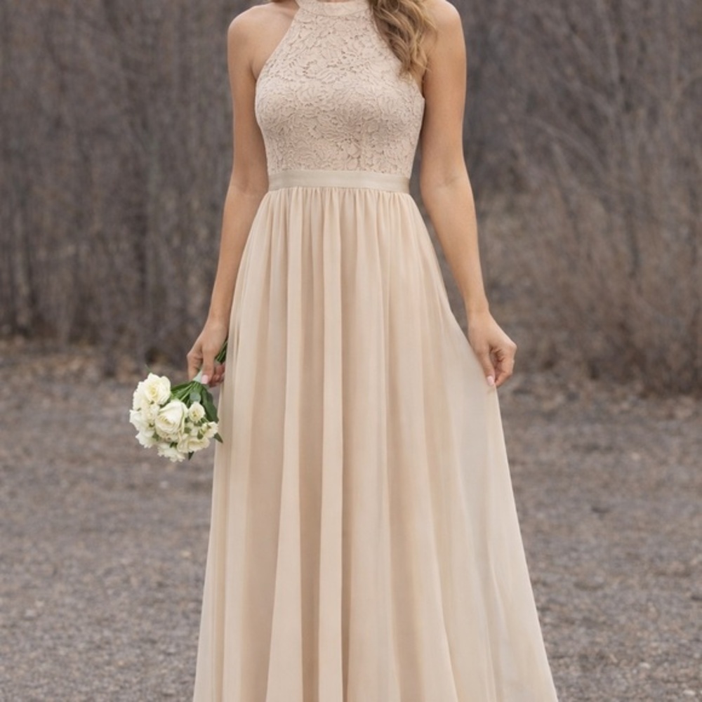 Romantic Dressy Collection full length formal gown soft champagne tulle lace S